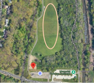 Proposed meadow area behind the Dog Park on Memorial Parkway
